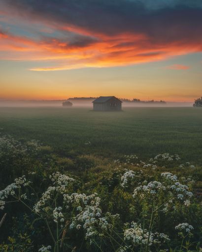 A beautiful view of an abandoned house in a field with flowers during orange sunset