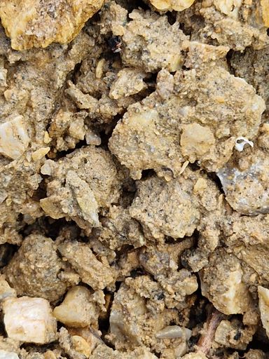 a vertical shot of textured rock pattern