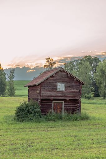 A vertical shot  brown wooden cottage house in the countryside of Sweden with trees on the background