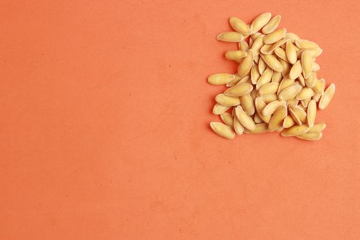 A top view of melon seeds under the lights on an orange surface