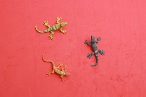 A high angle top view closeup shot of small lizard figurine toys on a red table