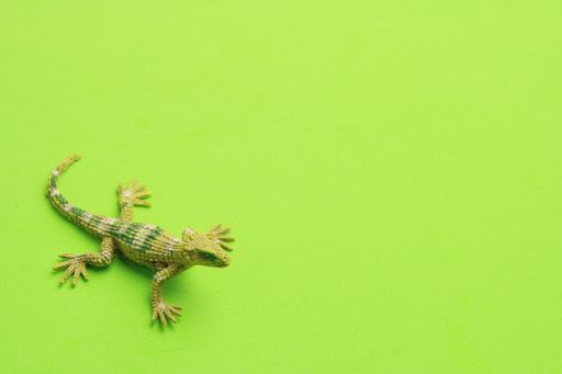 A closeup shot of a lizard shaped rubber toy on a green background