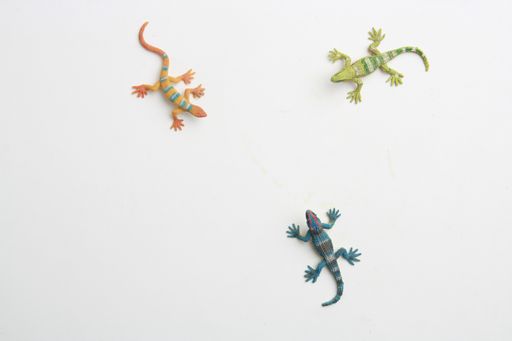 A top view of lizard rubber toys on a white background
