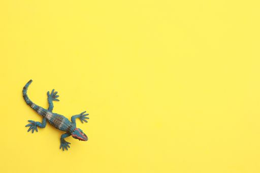 A closeup shot of lizard shaped rubber toy in color background