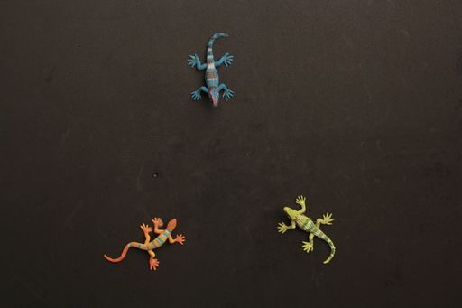 A top view of three lizard shaped rubber toys on a black background