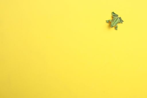 A top view of a frog-shaped rubber toy on a yellow background