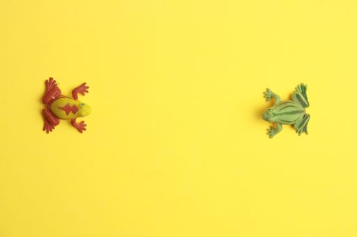 A high angle shot of a plastic frog toy miniatures on a yellow surface