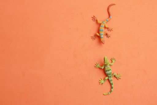 A top view of the rubber lizard toys isolated on an orange background