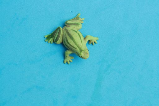 A top view of a frog toy isolated on a blue background