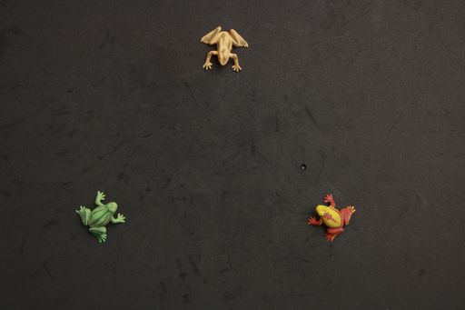 A high angle shot of a plastic frog toy miniatures on a black surface