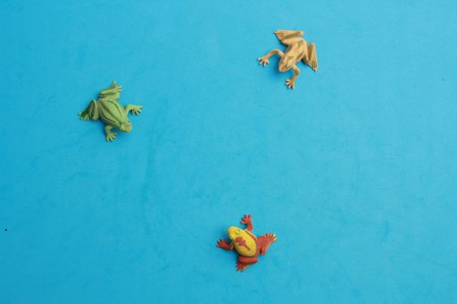 A top view of frog-shaped fishing lures on a blue surface