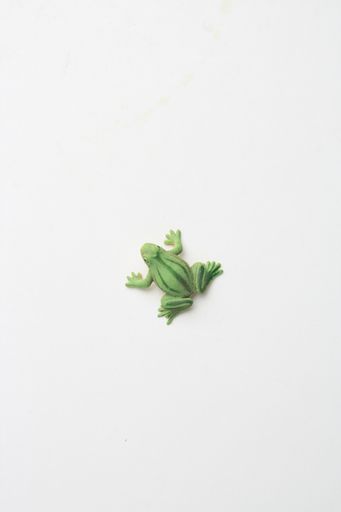 A vertical shot of a rubber frog toy isolated on a white background