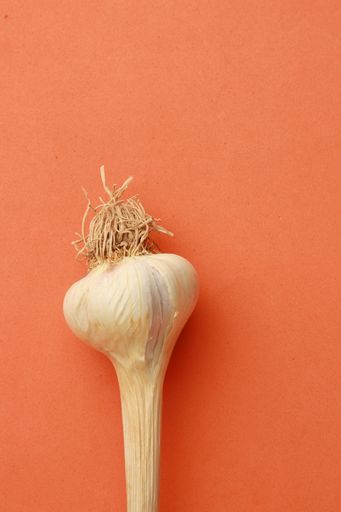 A vertical high angle top view closeup shot of garlic on an orange table