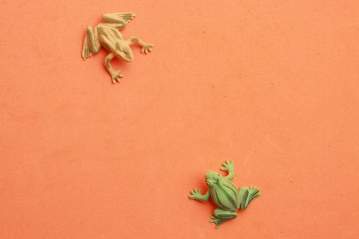 A closeup shot of lizard shaped rubber toy in color background