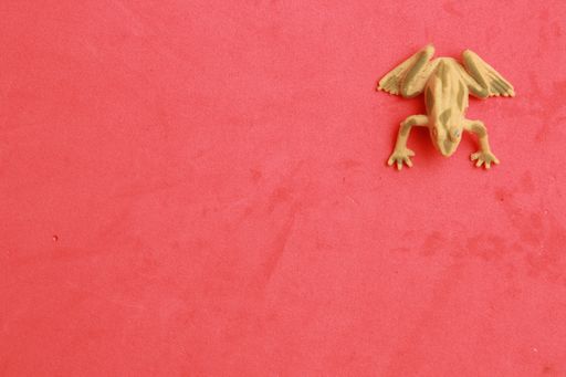 A high angle top view closeup shot of a small frog figurine toy on a pink table