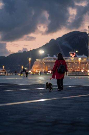 A vertical shot of a woman wearing a red coat and a backpack walking her dog on a leash in the evening