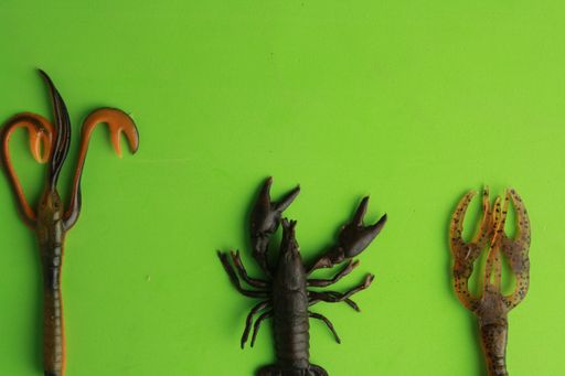 A closeup shot of fishing lures
