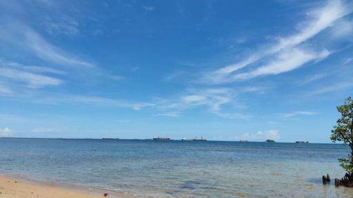 Panoramic view from sandy shore to blue sea, ships on the horizon and tree trunks in water at high tide under blue sky