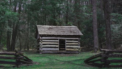 A wooden hut isolated in the forest with dense trees