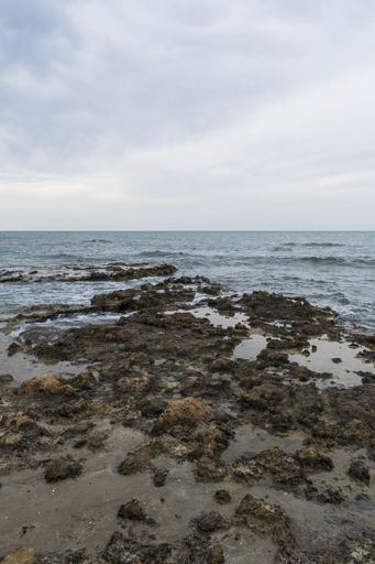 A vertical shot of a rocky beach with waves on a gloomy day