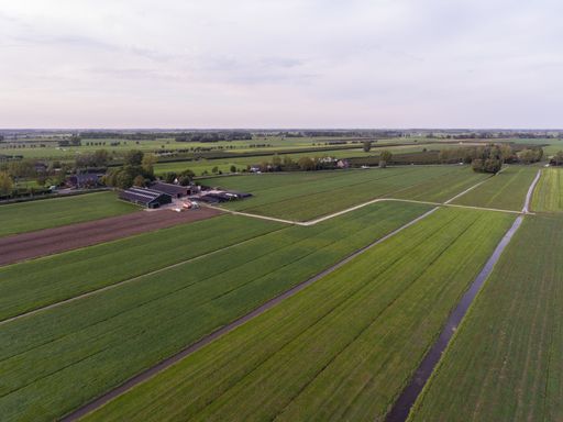 An aerial shot of a green meadow under a cloudy sky