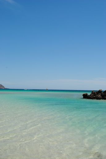 A vertical shot of beautiful Elafonissi Beach under a blue sky on a sunny day
