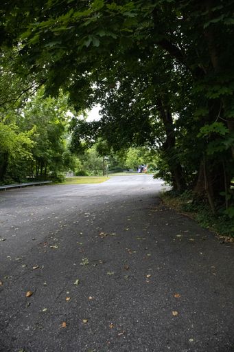 A vertical shot of the asphalt road surrounded by green vegetation.