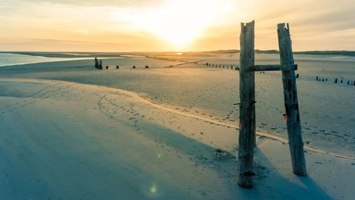 A scenic sunset on the sandy beach with wooden sticks in the Wangerooge island in Germany across the Wadden Sea