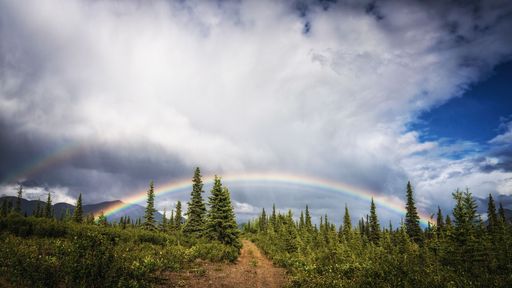 A narrow path through lush green trees with a rainbow in blue cloudy sky in the background