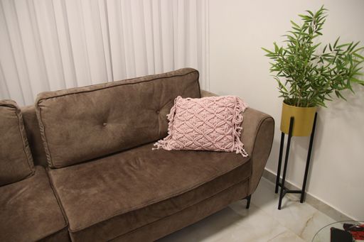 An interior design of room with brown sofa and plant in background of white wall