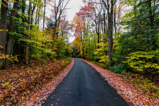 An empty asphalt road with autumn trees and colorful leaves around