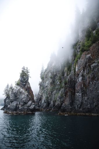 The ocean water and tree covered rocks jutting out of water on a foggy  morning at Porcupine bay at Kenai Fjords National Park, Alaska, vertical
