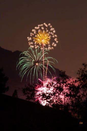 The vertical view of tree silhouettes before colorful fireworks in the night sky