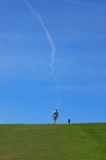 A vertical shot of a man walking with his dog on a green slope