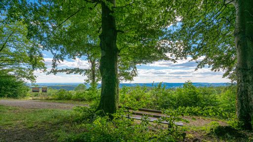 A tour of the Katzenbuckel, in many places you can enjoy the wonderful view