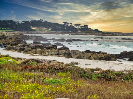 Beach Area in the coast of California. USA.