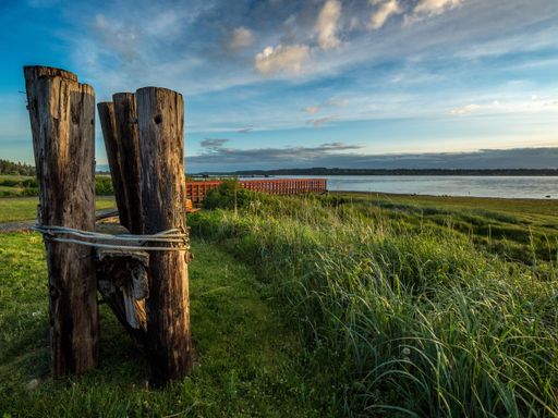 A close-up shot of wooden logs tied together on afield by the lake coast
