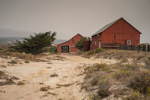 Red wooden cabins in a distance in the woods under a rainy cloudy sky