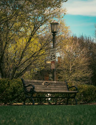 A vertical shot of a wooden bench in the park