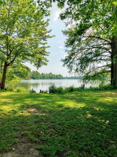 A vertical shot of a lake surrounded by green vegetation