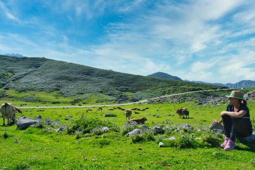 A side view of a woman in a hat sitting on small rock in lush green field with cows grazing nearby