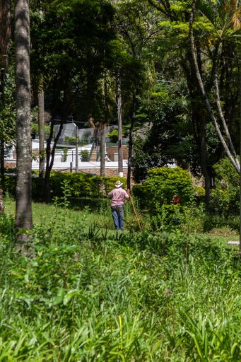 gardener observes garden, supported by hoe, in Brazil
