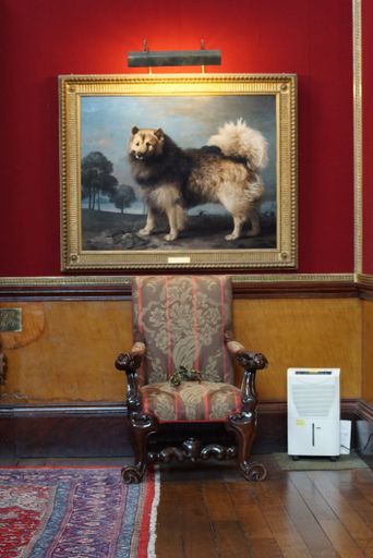The vertical view of a chair and a dog painting hanging on the wall inside the Belvoir Castle