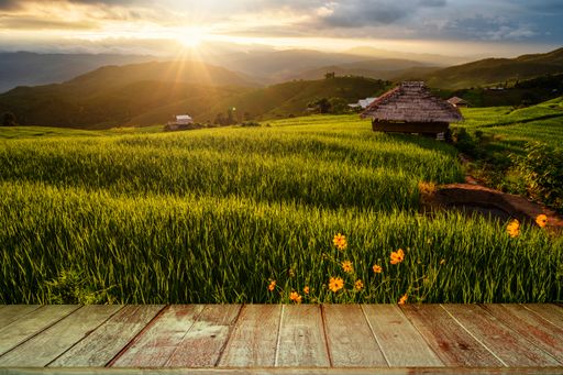 A wooden dock against green hills and a rural house at golden hour