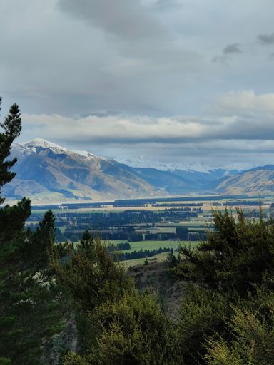 A vertical landscape of green lands with pine trees and mountains in the distance under a cloudy sky