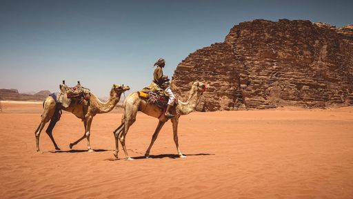 A view of a man riding a camel and another camel walking nearby in the Sahara desert, Africa