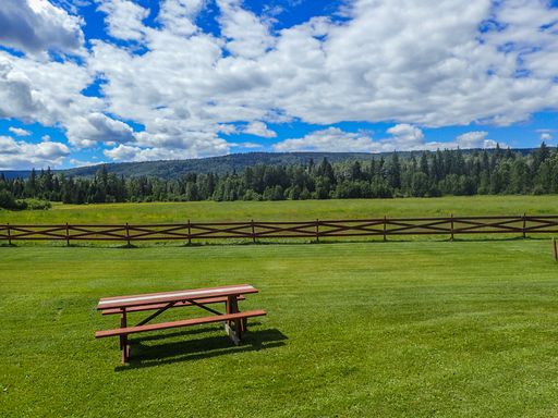 A picnic table standing on the green grass in Wells Grey Provincial Park in British Columbia