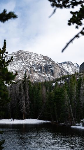 A beautiful vertical shot of the snowy peak of a rocky mountain at the river with trees in winter