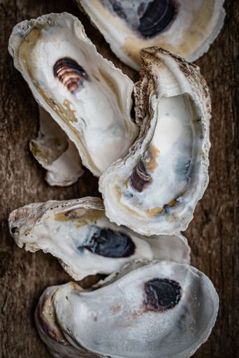 A vertical closeup shot of some oysters on a wooden background
