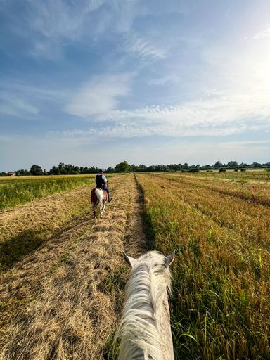 A vertical shot of people riding horses in a green field in the countryside